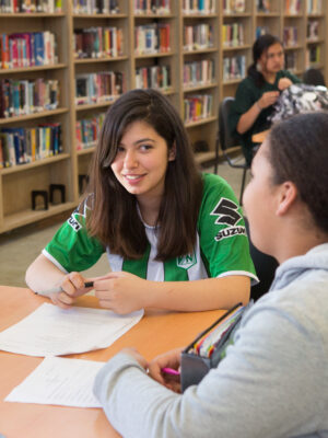 High school students studying in library