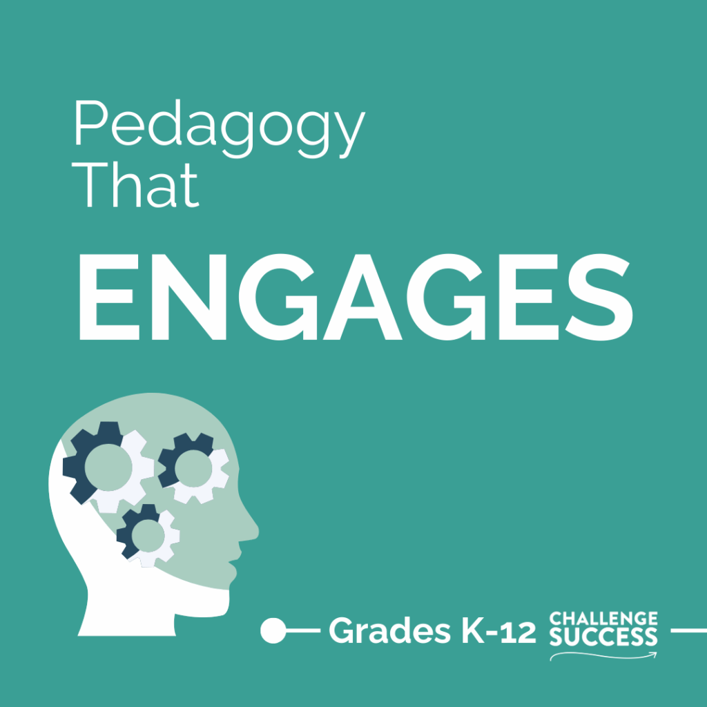 Pedagogy Engages - Small Banner