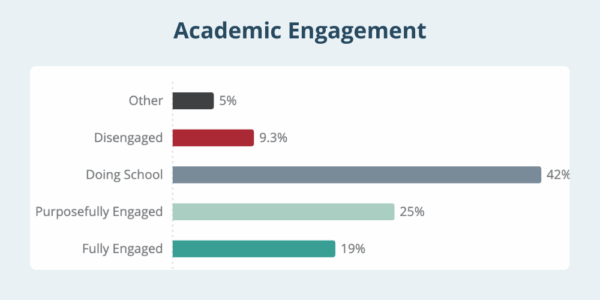 student engagement disengagement