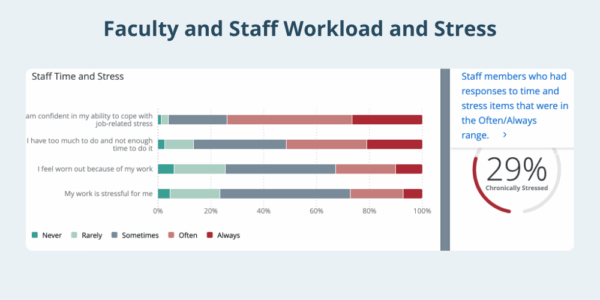 faculty and staff well-being stress workload